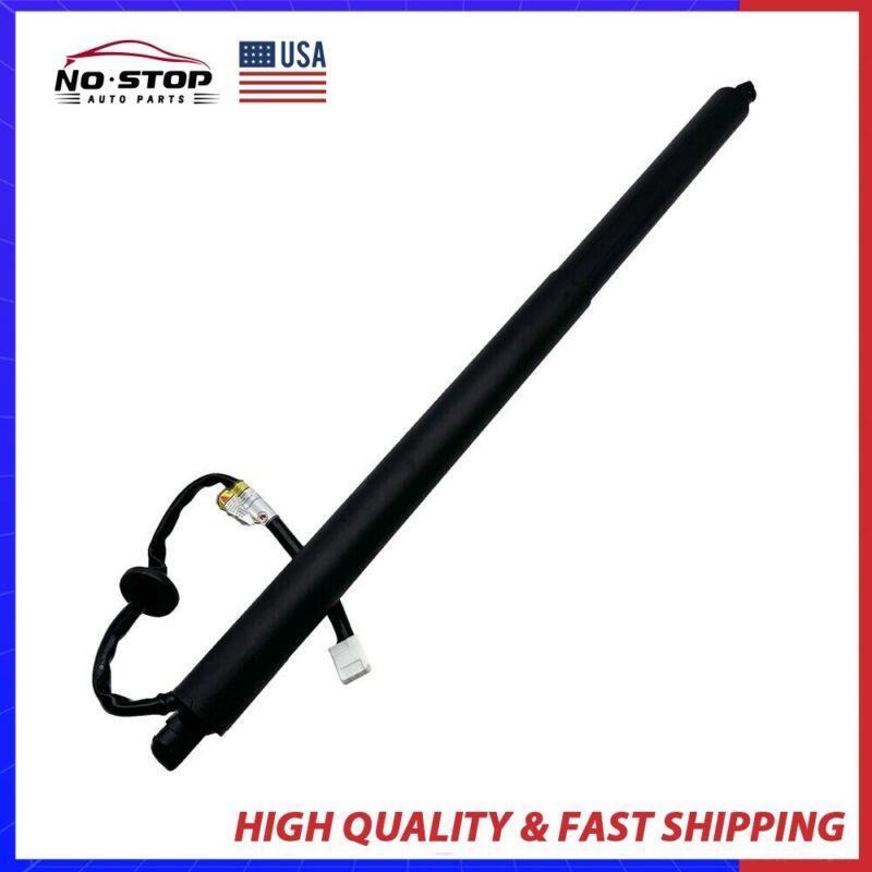 Two rear tailgate, transmission, and power hatch support struts for 2020-2023 for Toyota Highlander.