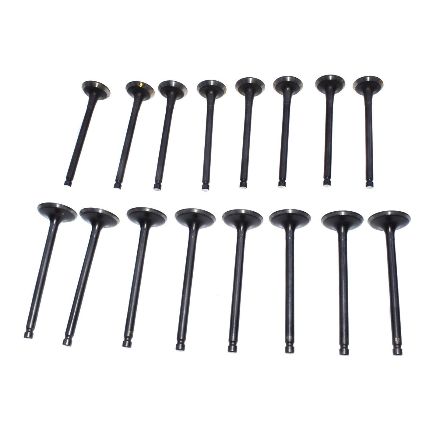 16 PCS Fit for Hyundai Accent for Kia Rio Rio5 1.6L Intake  Exhaust Valve Kit New