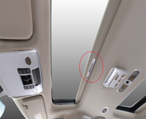 for Kia Carnival 2022-23 Matte Silver Inner Roof Skylight Handle Bowl Cover Trim