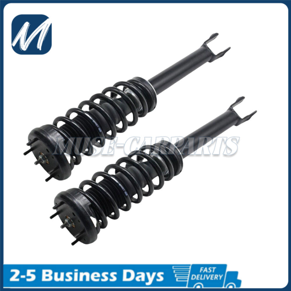 Two hydraulic shock absorber struts, left and right, rear, suitable for Mercedes W140, S320, and S500 (1992-1999).