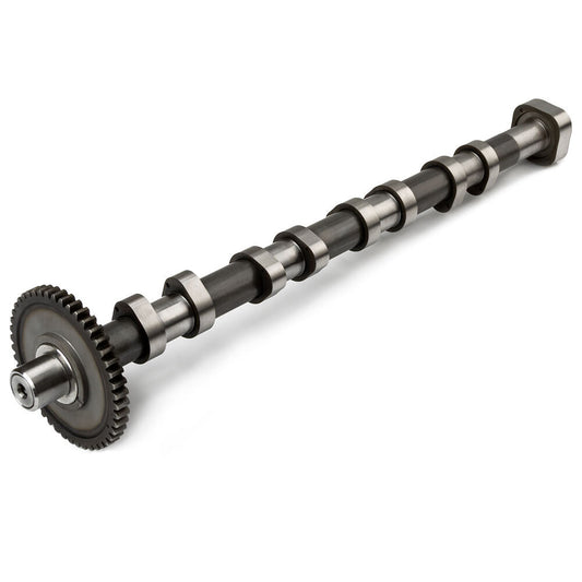 1Pcs Exhaust Camshaft Timing Gear for VW for Jetta for Golf CC EOS GLi GTi 2.0T 1.8T