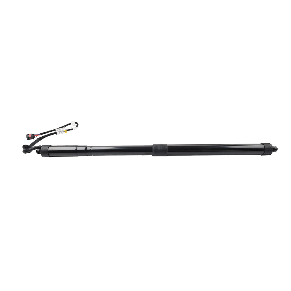 Trunk Tailgate Lift Support for Land Rover for Range Rover Sport 2005-2013