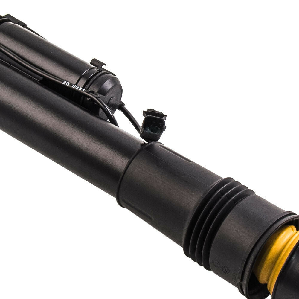 2x Rear Left Right Shock Absorber Struts Fit for Mercedes-Benz R320 R350 R500 W251