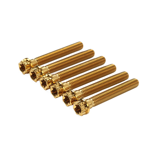 6pcs Bolts Torx Head Flange Screws M8x55mm Gold For Motorcycle Bike