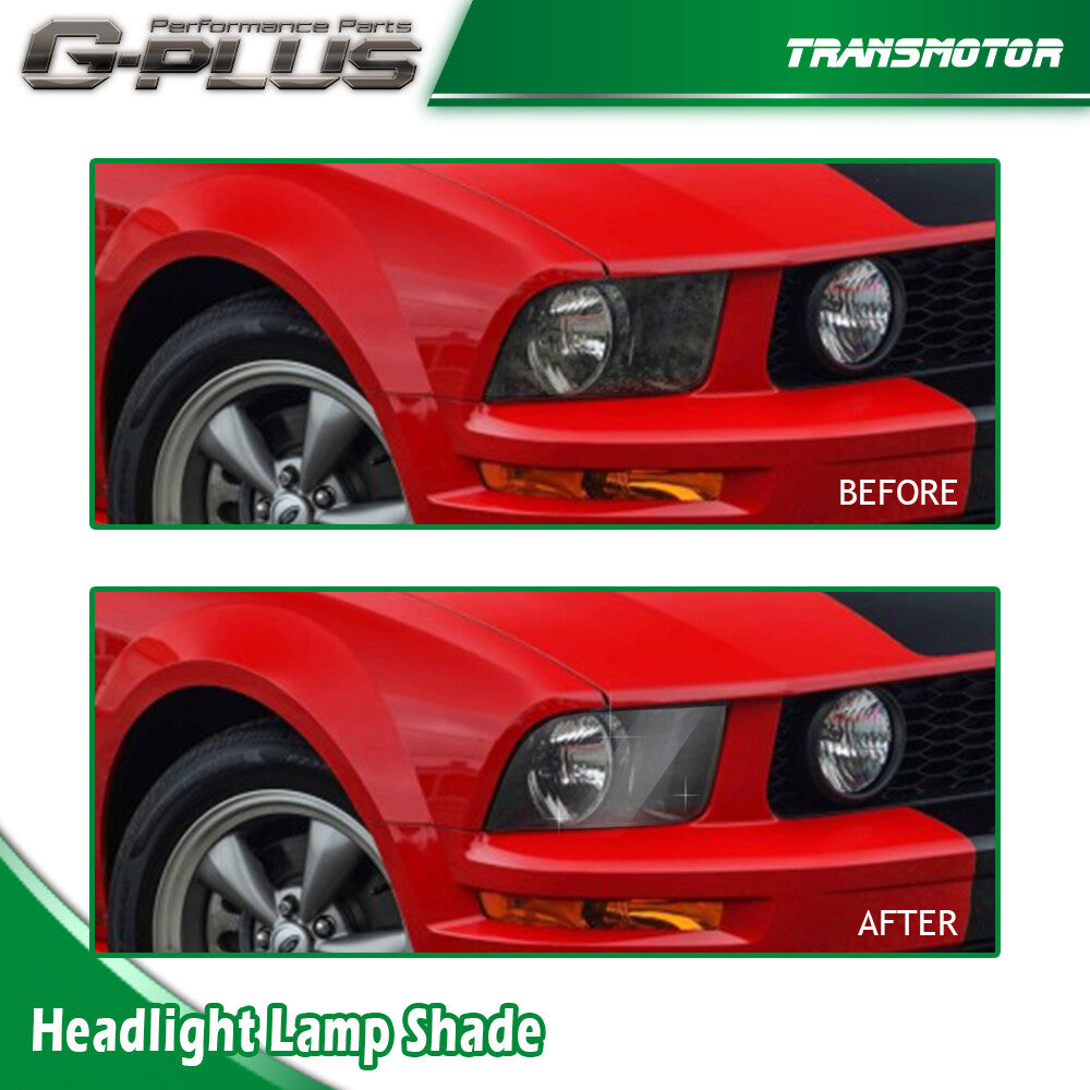 2005-2009 Water Blessing Edition Gold and Silver Coins