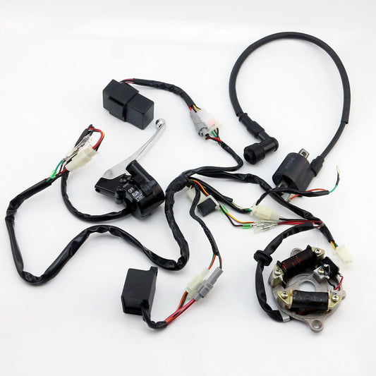 Magneto Stator Wiring Harness CDI Unit Lgnition Unit for Yamaha PW50 Y-Zinger