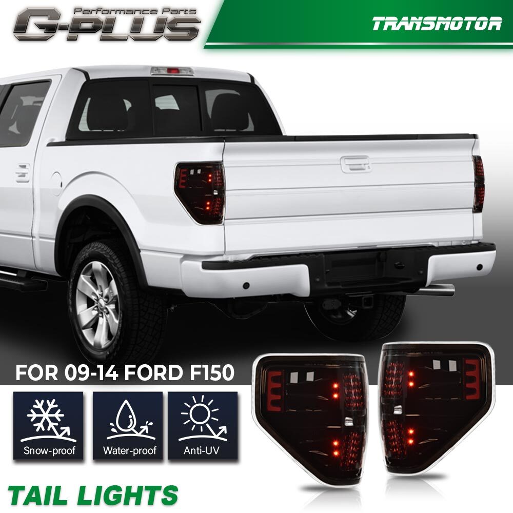 2009-2014 Shuifu Edition F150 Original Dragon Water Year + LED Dragon Series 1