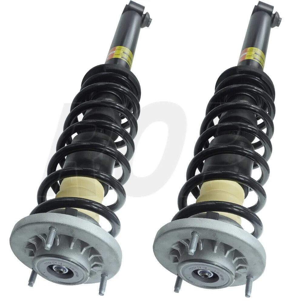 Pair Rear Shock Struts Assy for BMW F10 F11 F12 F13 F18 528i 535i 550i 650i
