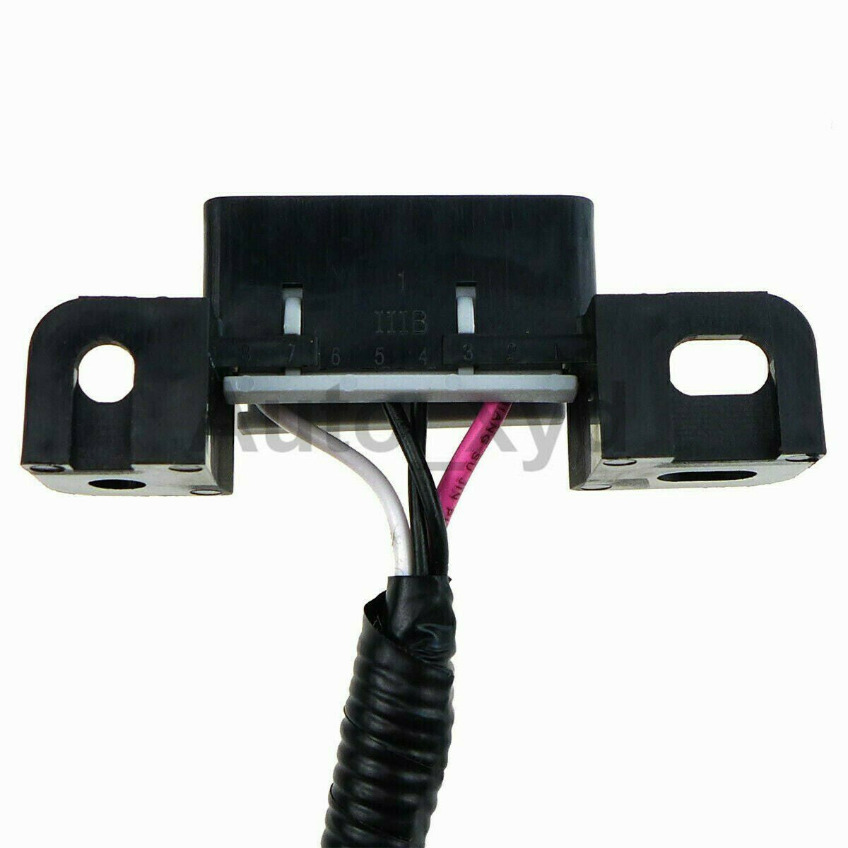 NEW Wiring Harness Standalone Set For LS1-4L60E Engine DBC 4.8 5.3 1997-2006 XYD