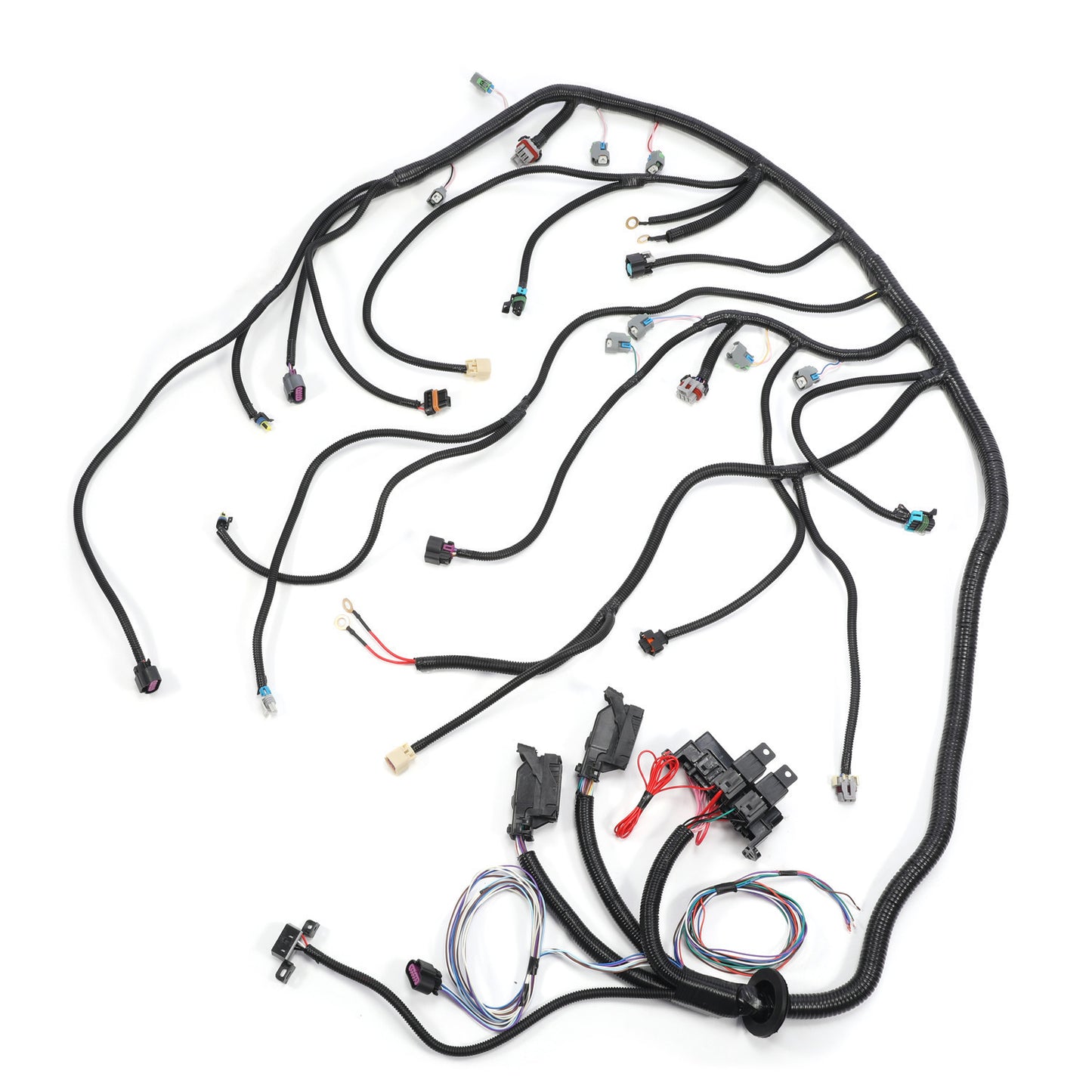 LS3 LS2 6.2L Standalone Harness 6l80E/6l90E 58X Drive By Wire DBW Truc Vett SY