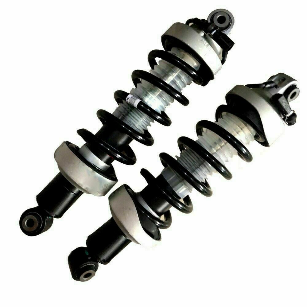 2PCS Rear Shock Spring Struts Assembly w/Magnetic for Audi R8 Spyder 2007-2015