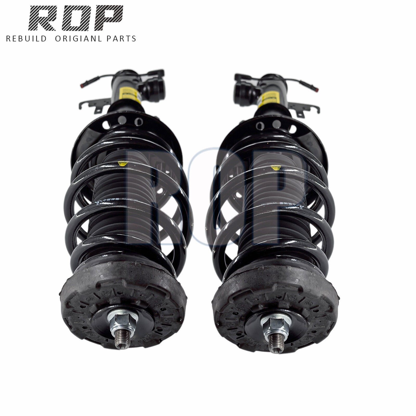 2X Front Shock Strut Spring Assys Electric 13310728 Fit for Buick LaCrosse 2010-2011